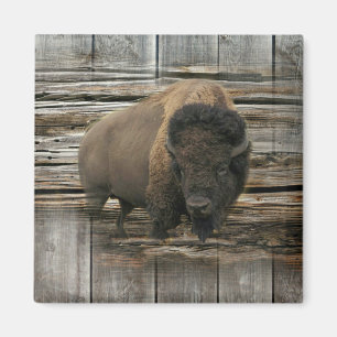 Wood Bison Magnet