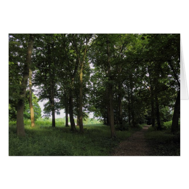 Wood, Bute Park Cardiff (Devant horizontal)