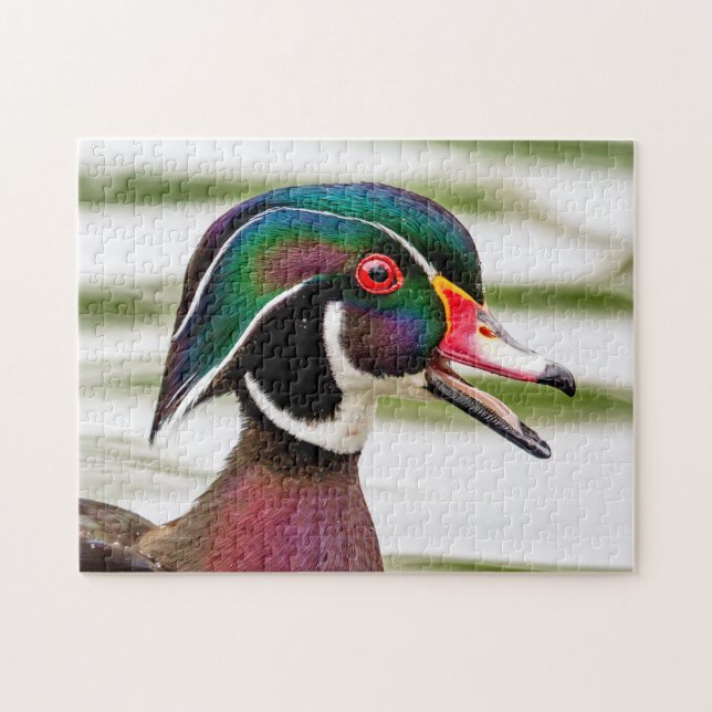 Wood Duck (Horizontal)