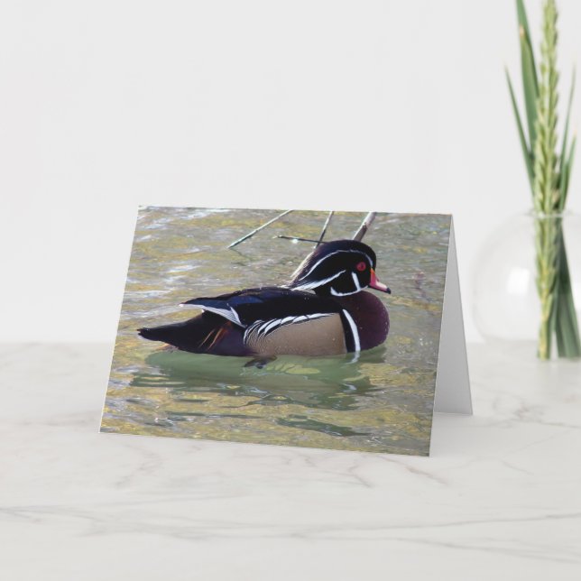 Wood Duck Drake Karte (Vorderseite)