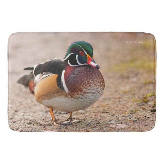 Wood Duck Drake on Gravel Badematte (Vorderseite)