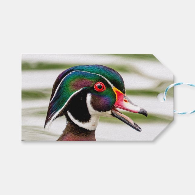 Wood Duck Geschenkanhänger (Vorderseite (Horizontal))