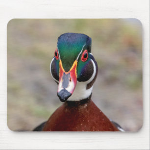 Wood Duck Mousepad