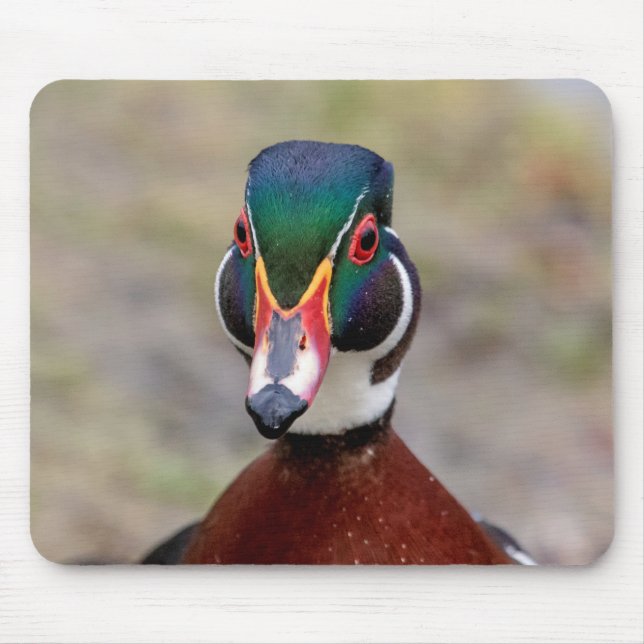 Wood Duck Mousepad (Vorne)
