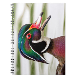 Wood Duck Notizblock