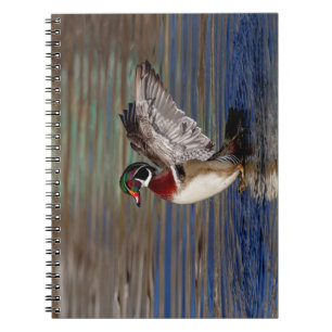 Wood Duck Notizblock