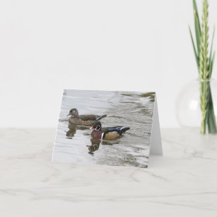 Wood Duck Pair Karte