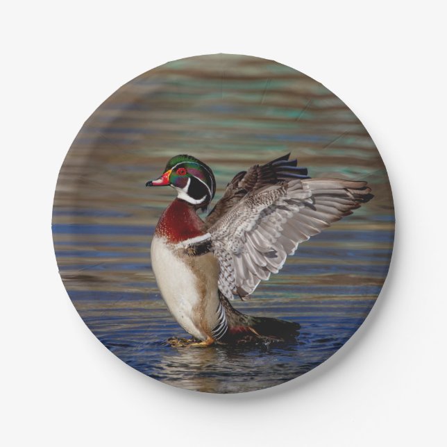 Wood Duck Pappteller (Vorderseite)