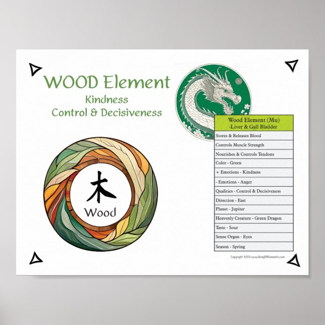 Wood Element Acupuncture Poster (Vorne)
