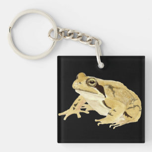 Wood Frog