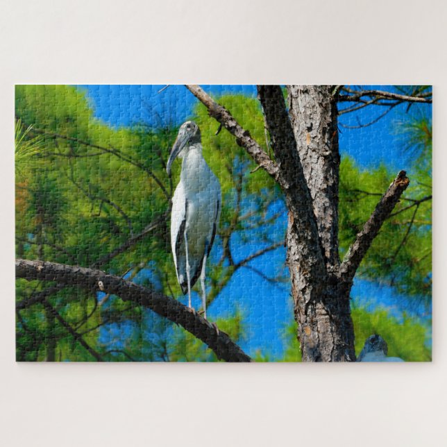 Wood Stork Florida (Horizontal)