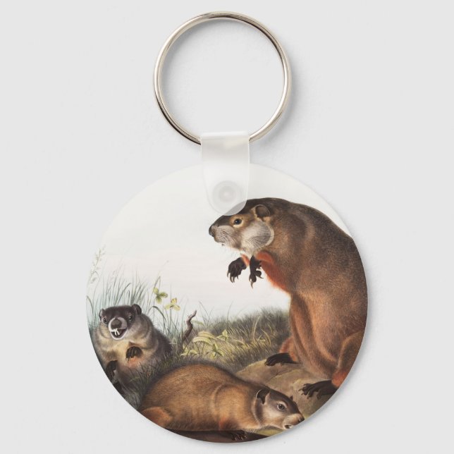 Woodchuck (Arctomys monax) Illustration Schlüsselanhänger (Vorderseite)