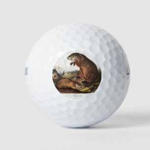 Woodchuck Camping Deko Gips Golfball