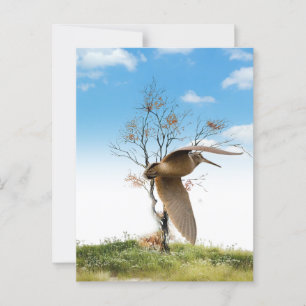 Woodcock Postkarte