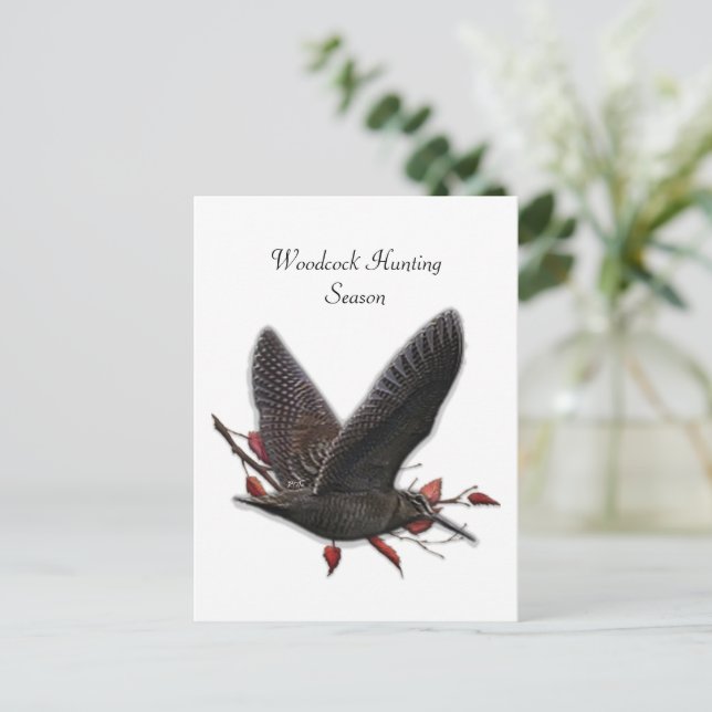 Woodcock Postkarte (Stehend Vorderseite)