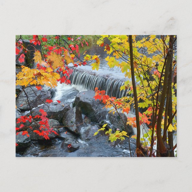 Woodford Staat Park Postkarte (Vorderseite)