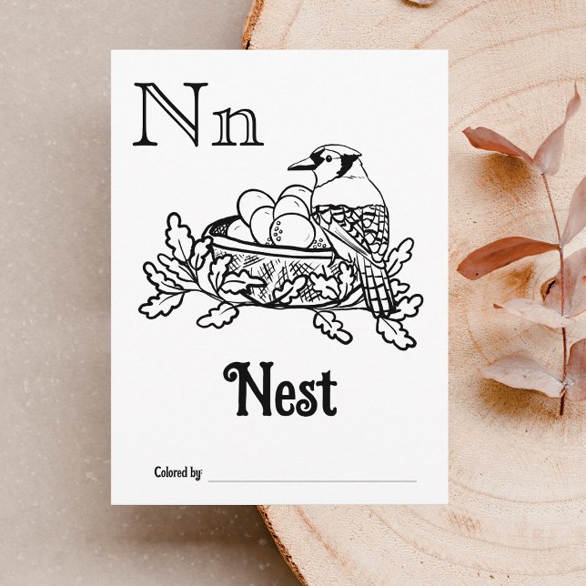 Woodland Animals ABC Coloring Baby Shooting Activi Postkarte (Letter N - Color Your Own Baby's First ABC's Keepsake Cards)