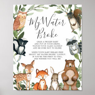 Woodland Animals Baby Dusche Mein Wasser Broke Sch Poster