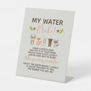 Woodland Baby Showspiel - Mein Water Broke Poster Sockelschild