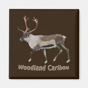 Woodland Caribbean Magnet