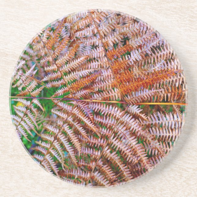 Woodland Ferns Getränkeuntersetzer (Vorne)