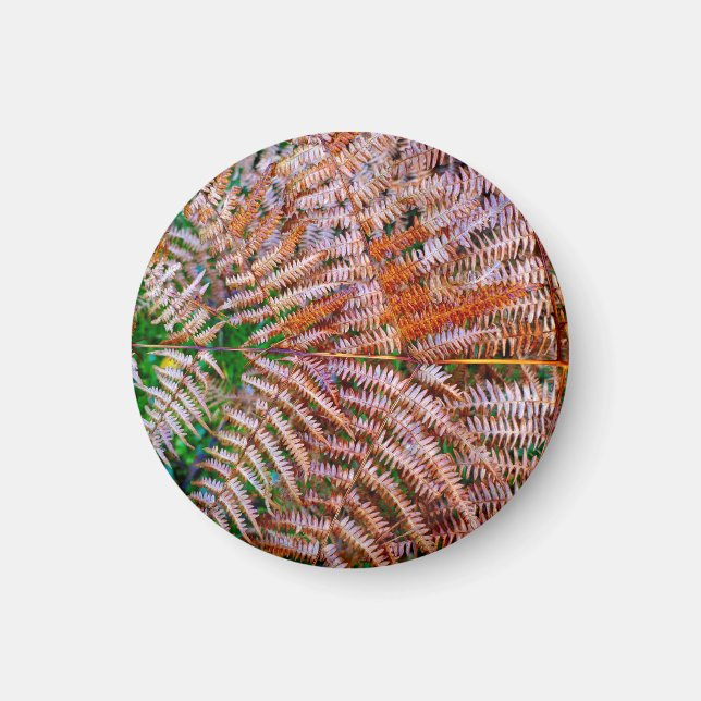 Woodland Ferns Magnet (Vorne)
