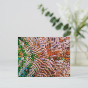 Woodland Ferns Postkarte