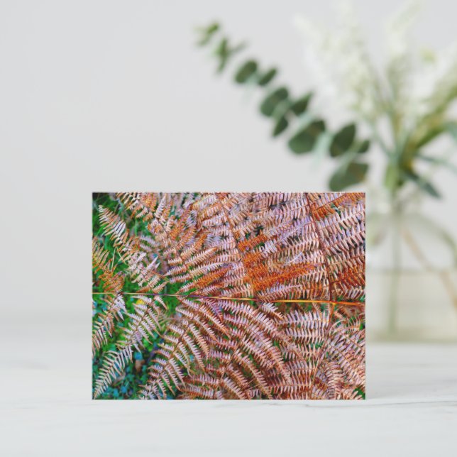 Woodland Ferns Postkarte (Stehend Vorderseite)