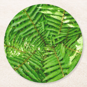 Woodland Ferns Runder Pappuntersetzer
