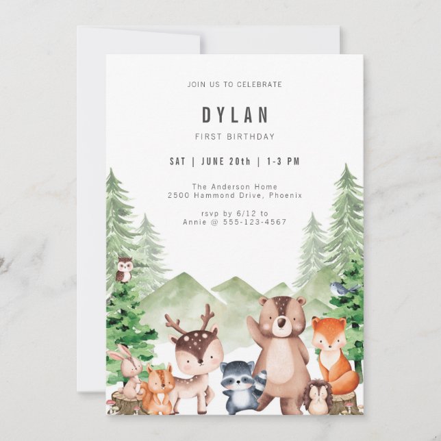 Woodland Forest Animal Boy Birthday Invitation Einladung (Vorderseite)