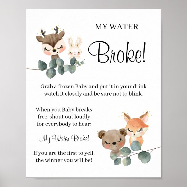 Woodland My Water Broke Kinderspielzeichen Poster (Vorne)