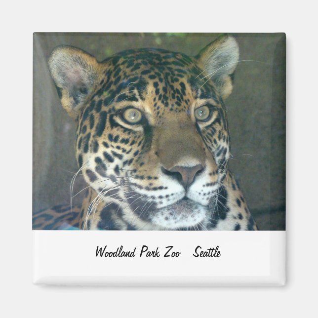 Woodland Park Zoo Cat Magnet (Vorne)
