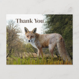 Woodland Red Fox Danke, Postcard Postkarte
