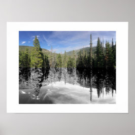 Woodland Reflection Photography Poster
