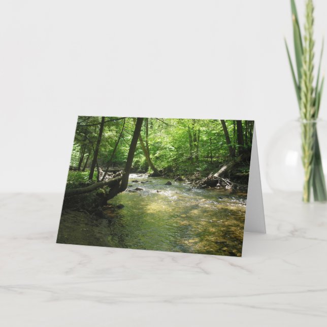 "Woodland Stream" Dankeskarte (Vorderseite)