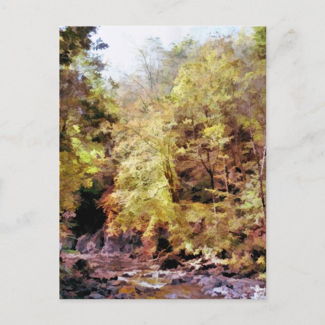 WOODLAND STREAM POSTKARTE (Vorderseite)
