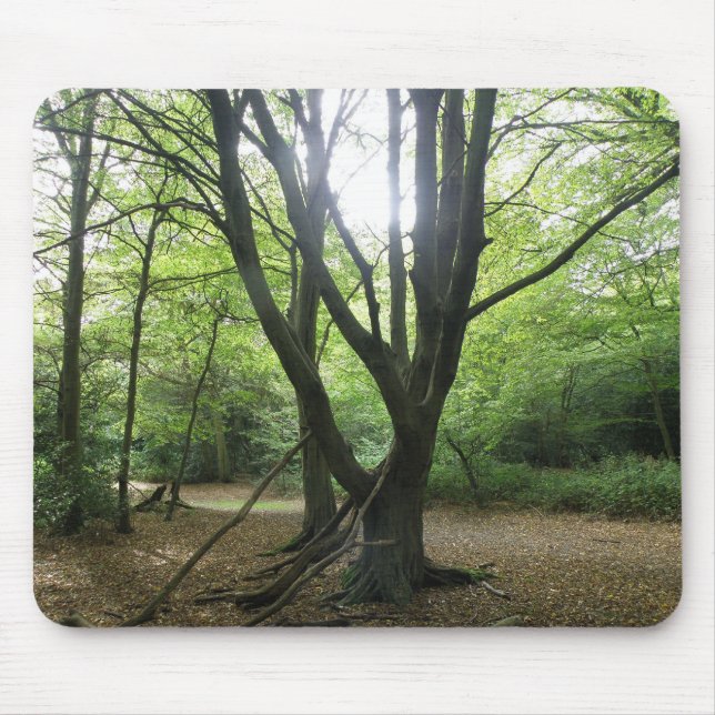Woodland Sunshine Mousepad (Vorne)