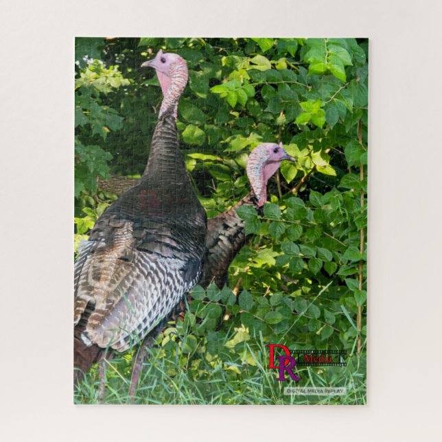 "Woodland Watch: Wild Turkey Duo" (Vertikal)