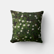 Woodland White Wildflower Anemone Forest Floor