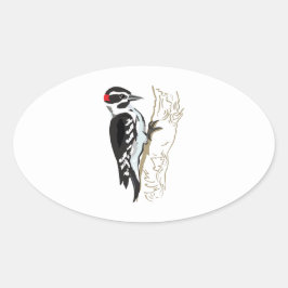 Woodpecker-Abbildung Ovaler Aufkleber