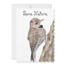 Woodpecker Aquarellkopf