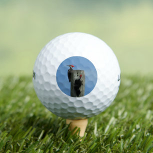 Woodpecker auf einem Pole-Foto Golfball