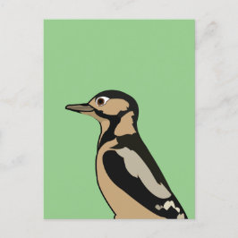 Woodpecker Bird Nature Art Postkarte