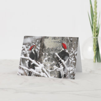 Woodpecker im Winter Karte