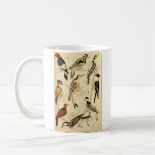 Woodpecker Kaffeetasse