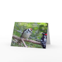 Woodpecker-Karte für Eltern oder Vormund herunterl