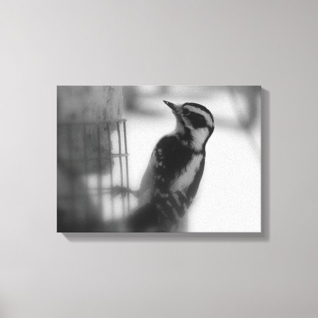 Woodpecker Leinwanddruck (Vorderseite)