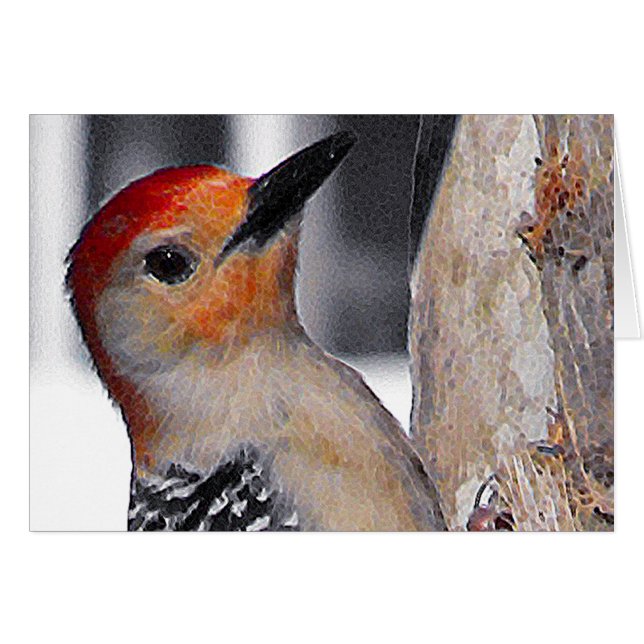 Woodpecker Portrait (Vorderseite (Horizontal))