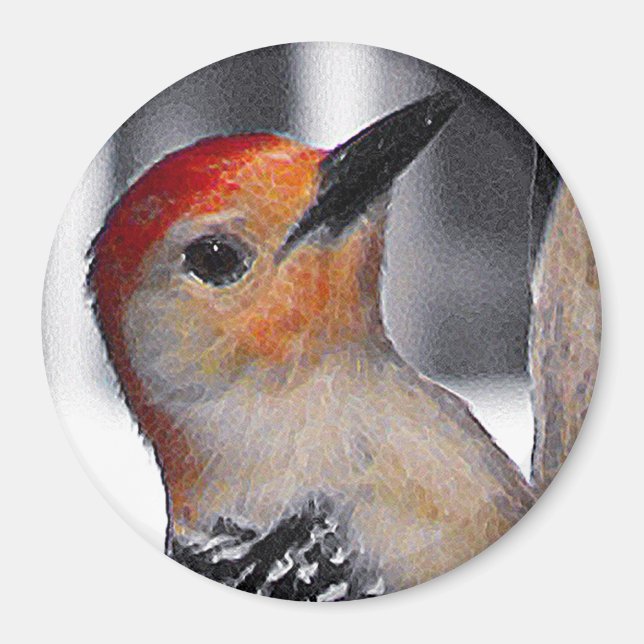 Woodpecker Portrait Magnet (Vorne)