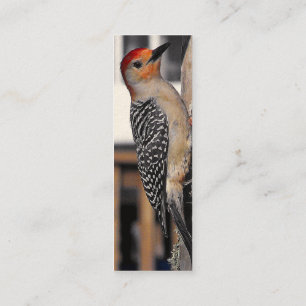 Woodpecker Portrait Mini Visitenkarte